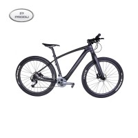 High quality carbon fiber chinese mtb bicycle with frame M01 mountain bike 29er